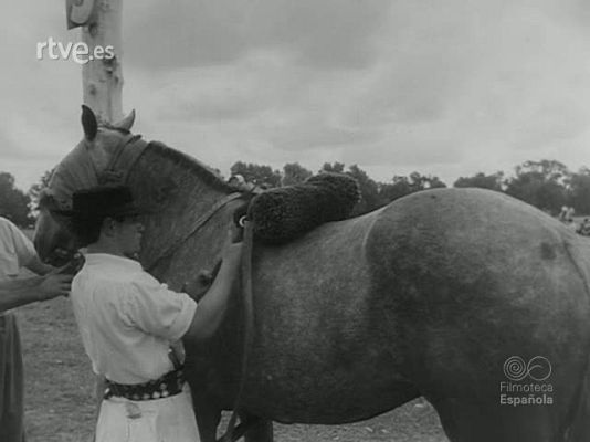 Revista Imágenes - INSTINTO Y DOMA
