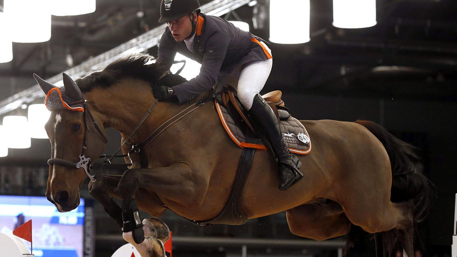 El mundo del caballo posa sus ojos estos días en Madrid, que celebra la 'Horse Week', en el que un multitud de actividades tienen como colofón la celebración de la Copa del Mundo de salto este domingo.