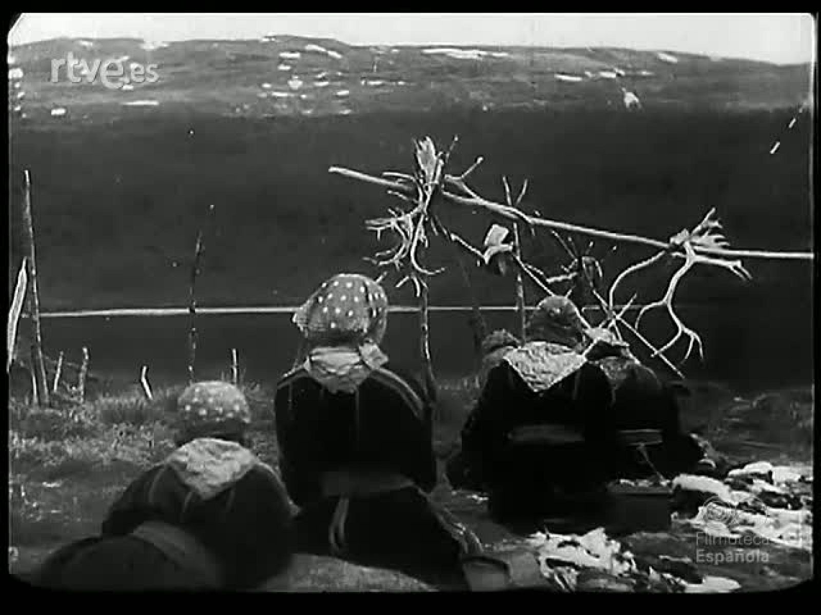 EN REBAÑO Y EN TROPEL - Revista Imágenes | Ver