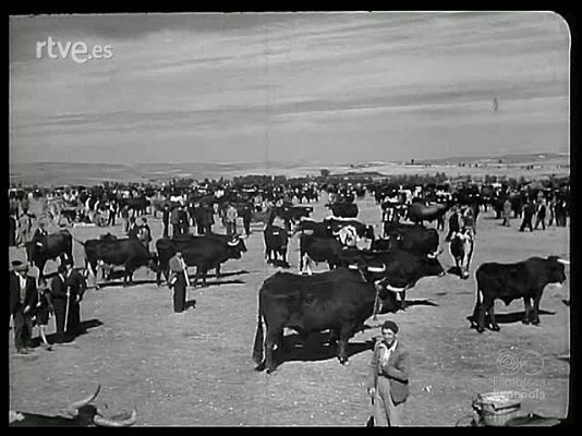 Revista Imágenes - EN TORNO A SALAMANCA