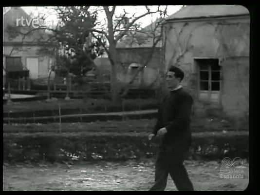 Revista Imágenes - ESPAÑOLES EN LA VERDE ERIN