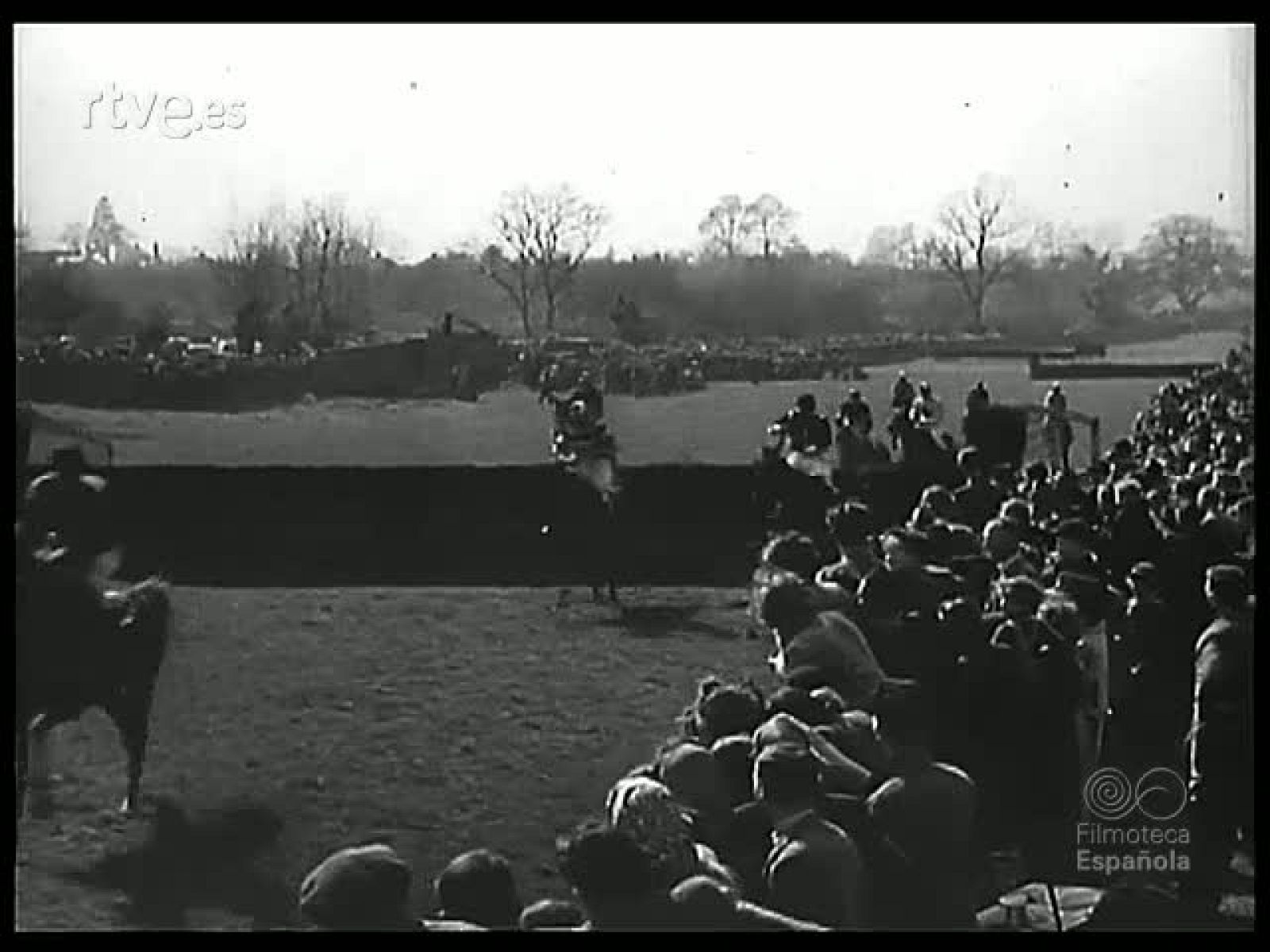 LOS ANIMALES Y EL CINE - Revista Imágenes | Ver