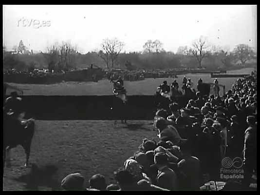 Revista Imágenes - LOS ANIMALES Y EL CINE