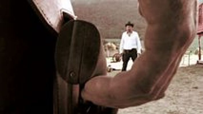 España en comunidad - Western en Álava