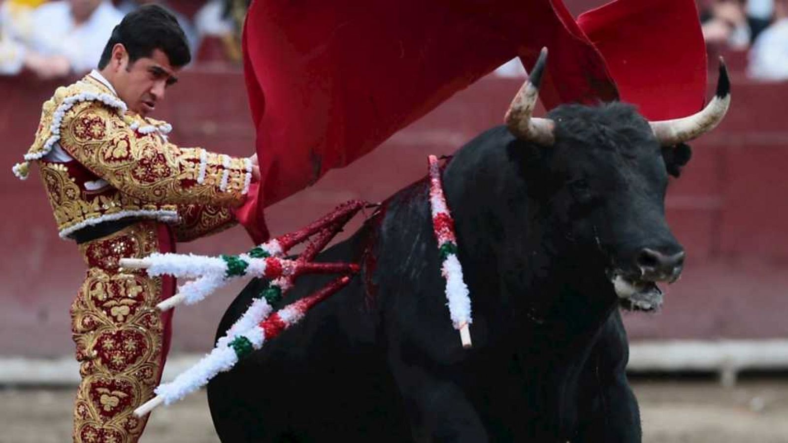 Tendido Cero - 29/11/14 - ver ahora