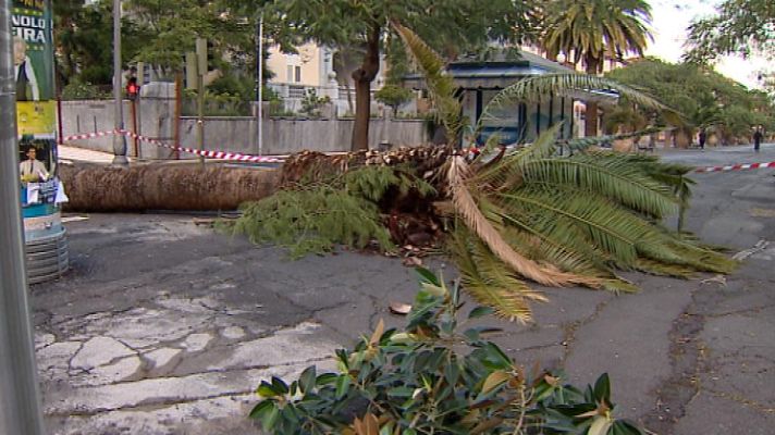 Telecanarias - Telecanarias - 30/11/14