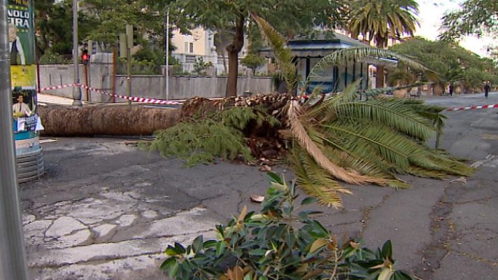 Telecanarias - Telecanarias - 30/11/14