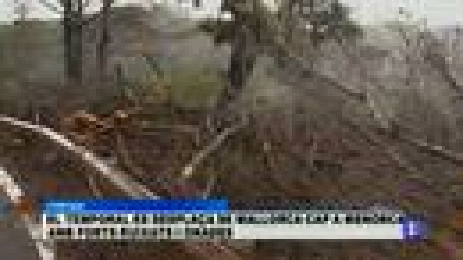 Informatiu Balear en 2' - 01/12/14 | Ver