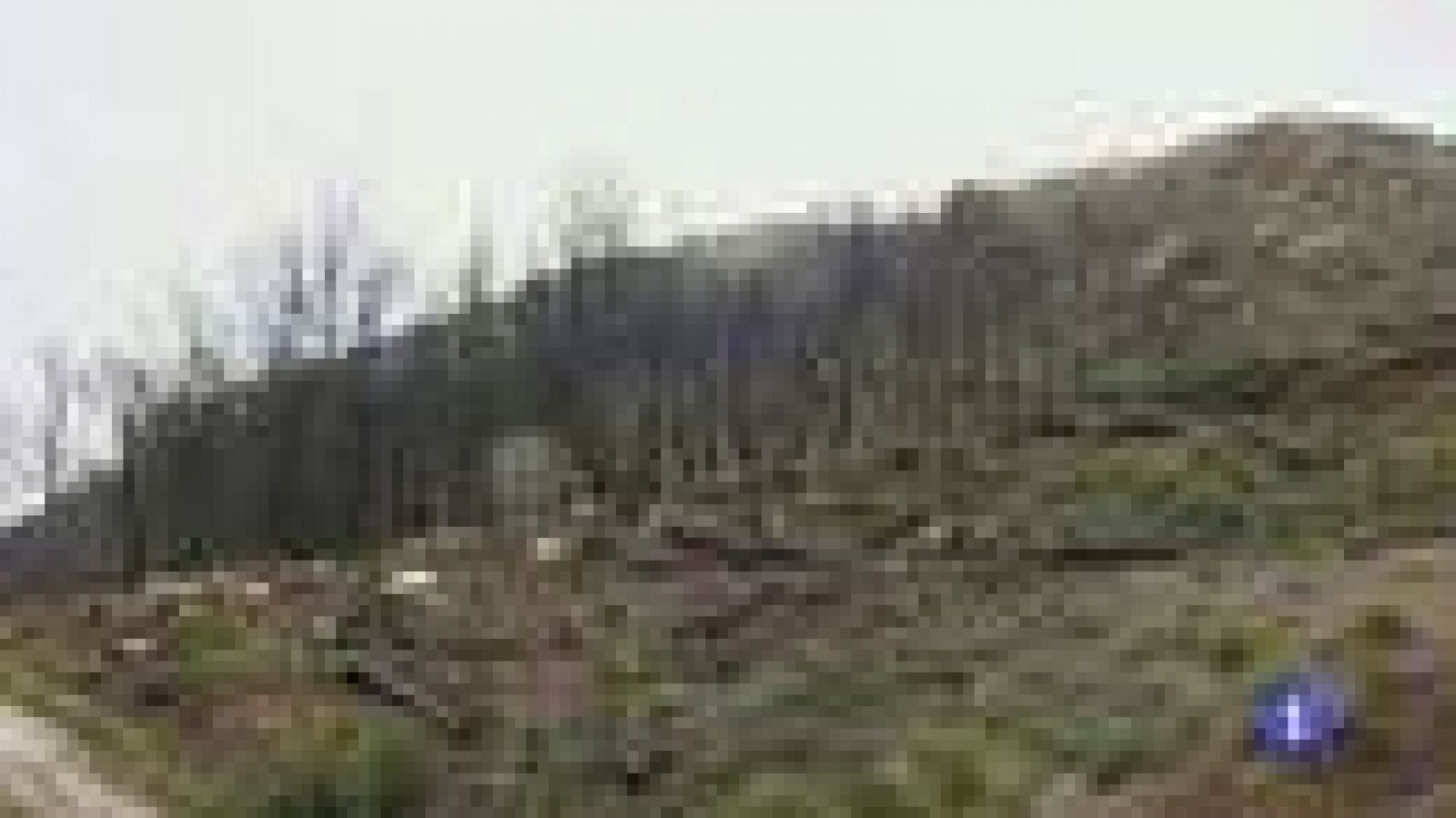 Informatiu Balear 2 - 01/12/14 | Ver