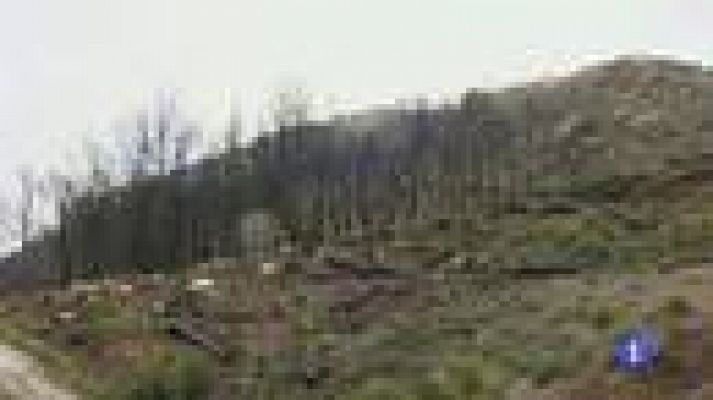 Informatiu Balear - Informatiu Balear 2 - 01/12/14