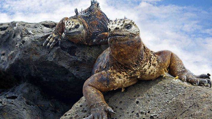 Descubriendo las Islas Galápagos