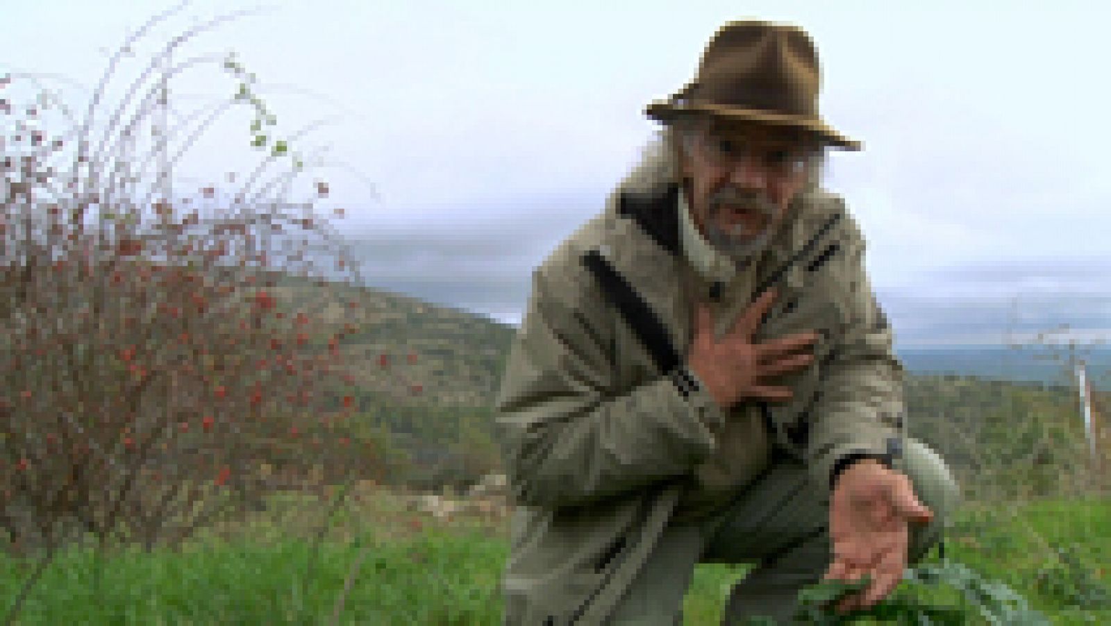 Aquí la Tierra: La nueva lección botánica de Juan Plantas  | RTVE Play