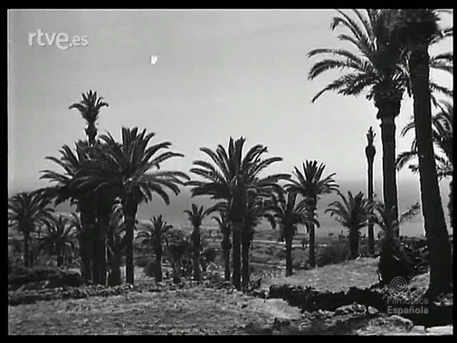 EN LA ISLA DE LA PALMA - Revista Imágenes | Ver