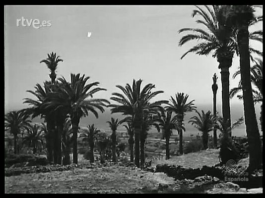 Revista Imágenes - EN LA ISLA DE LA PALMA