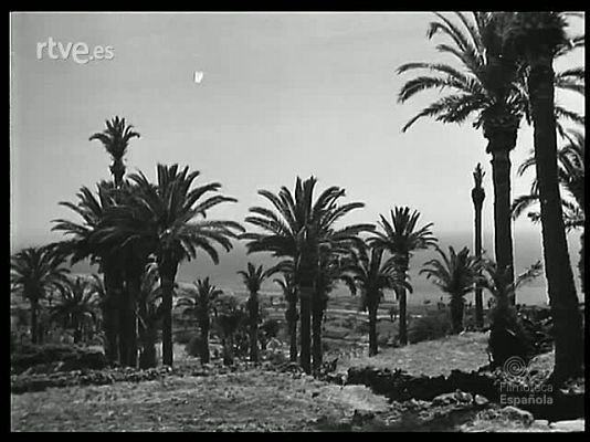 Revista Imágenes - EN LA ISLA DE LA PALMA