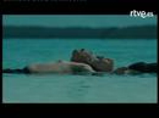 Festival de cine de San Sebastián - Escenas de 'El nido vacío'