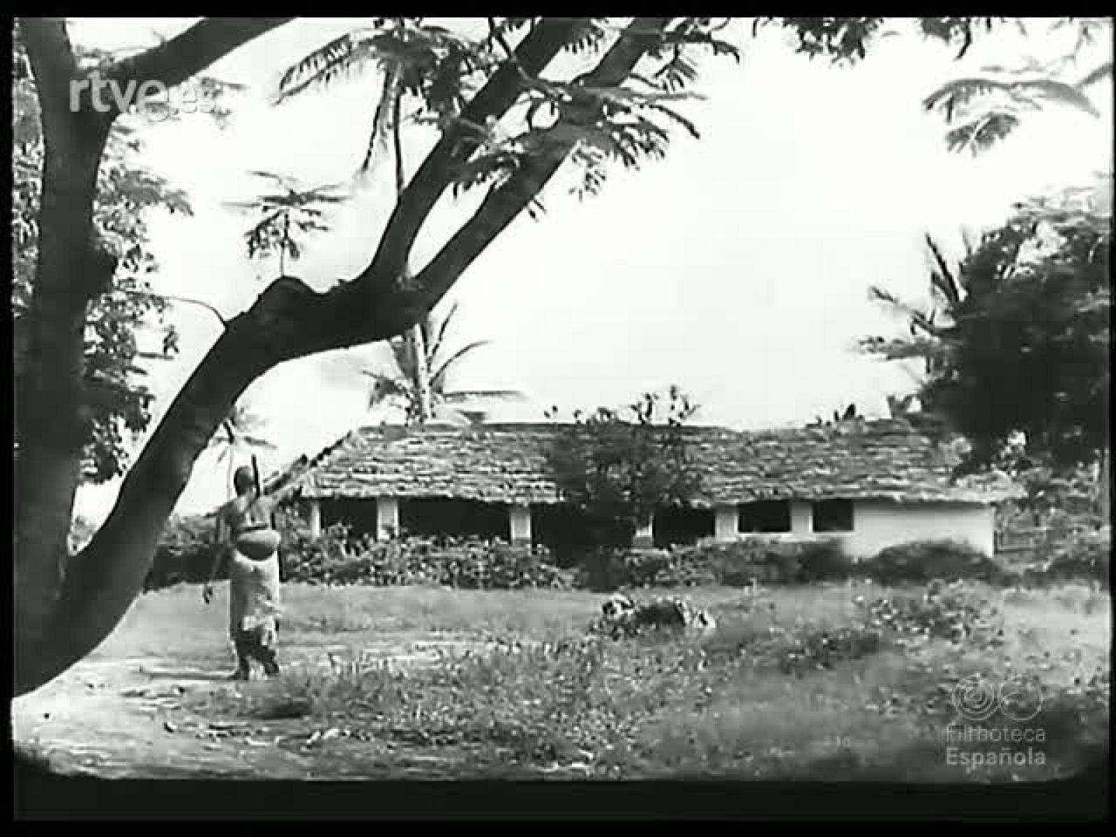 AL SUR DEL ECUADOR - Revista Imágenes | Ver