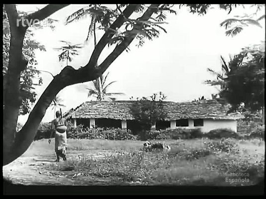 Revista Imágenes - AL SUR DEL ECUADOR