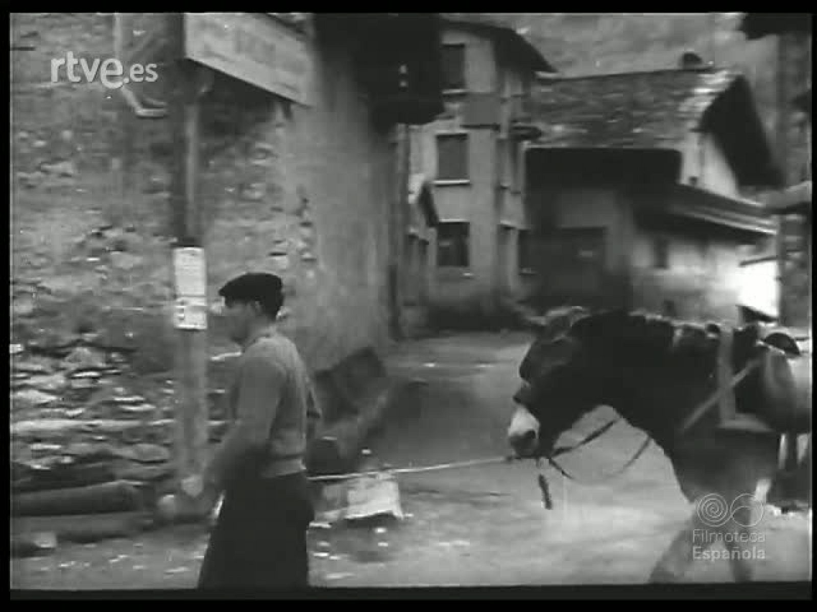 DE TODAS PARTES - Revista Imágenes | Ver