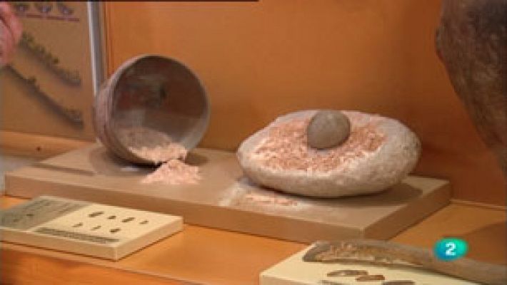 La aventura del Saber - La Aventura del Saber. Serie documental. El túnel del tiempo. Los primeros agricultores