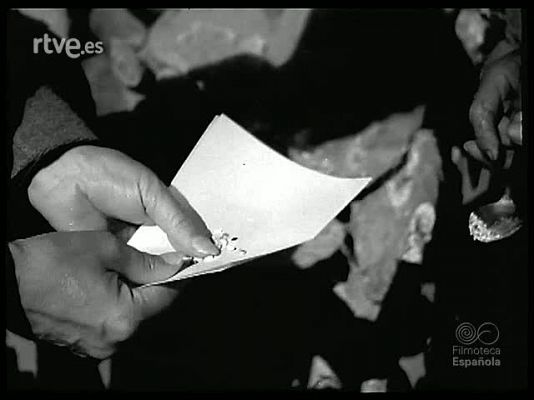 Revista Imágenes - MOSAICO ESPAÑOL