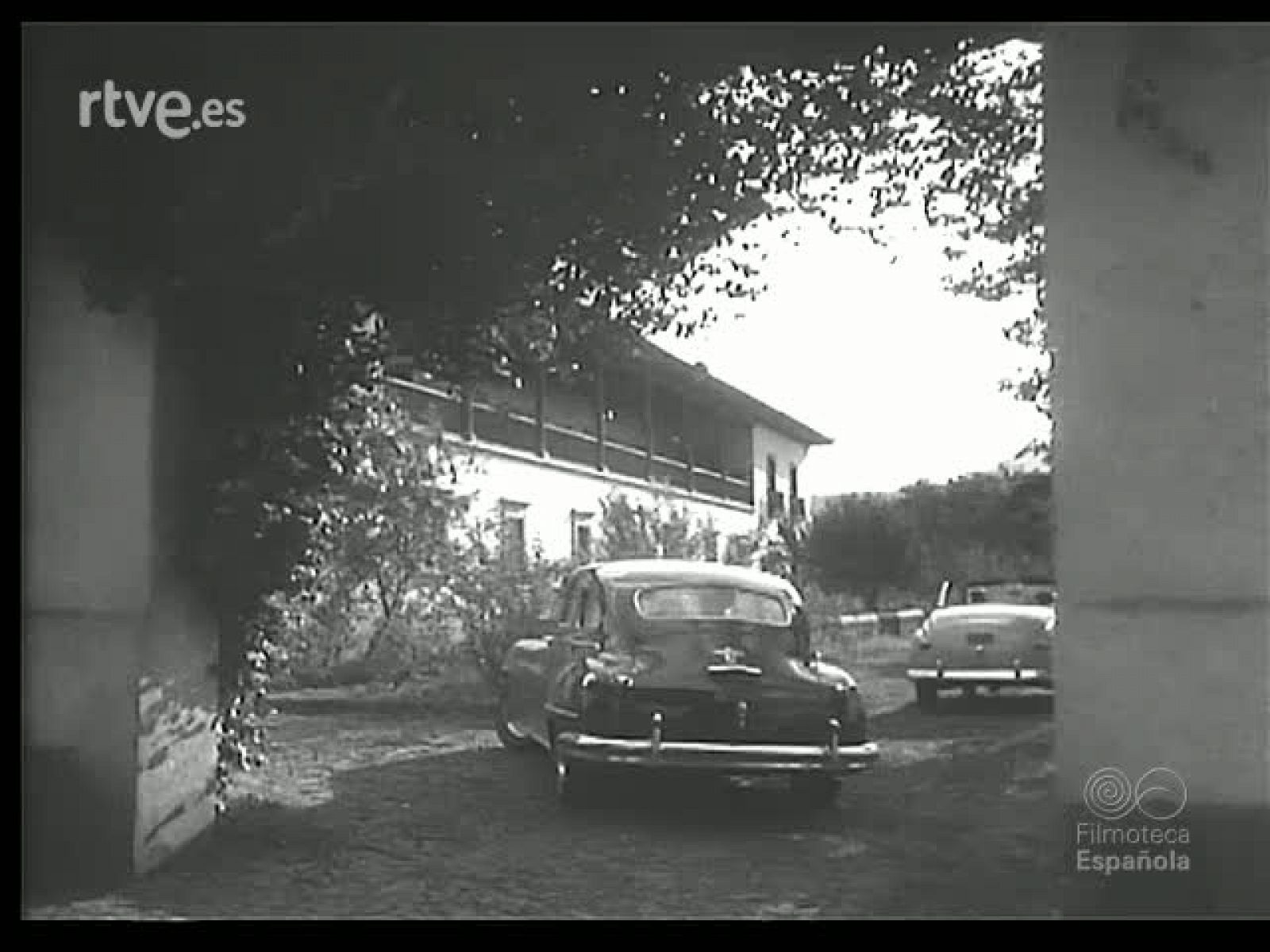 MOTIVOS DE CAZA - Revista Imágenes | Ver