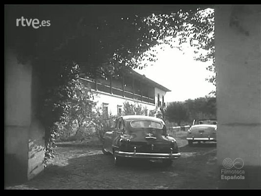 Revista Imágenes - MOTIVOS DE CAZA