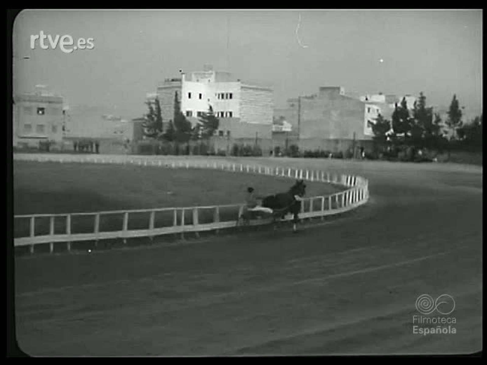 MISCELANEA DEPORTIVA - Revista Imágenes | Ver