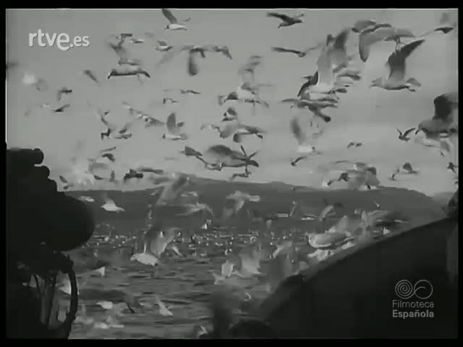 VARIANTES DE LA PESCA - Revista Imágenes | Ver