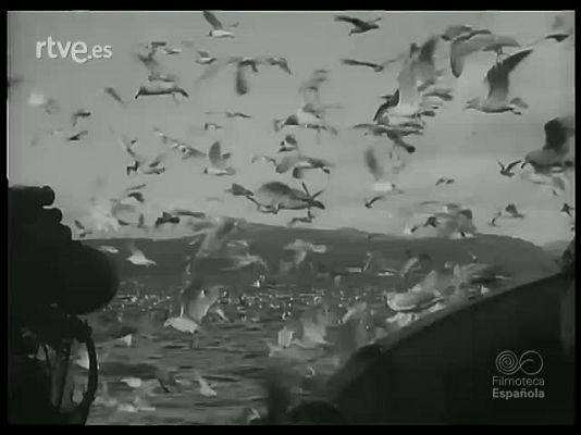 Revista Imágenes - VARIANTES DE LA PESCA