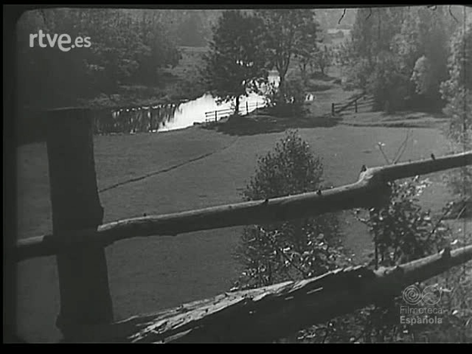 A ORILLAS DEL BALTICO - Revista Imágenes | Ver