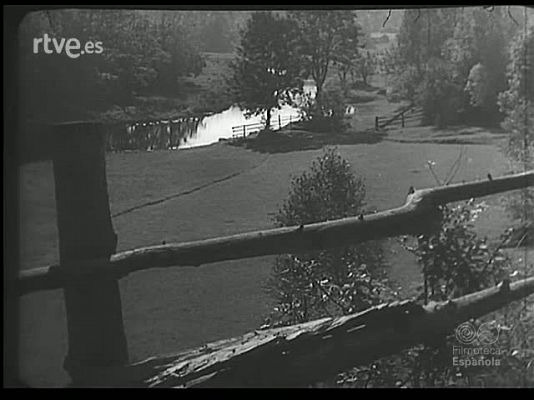 Revista Imágenes - A ORILLAS DEL BALTICO