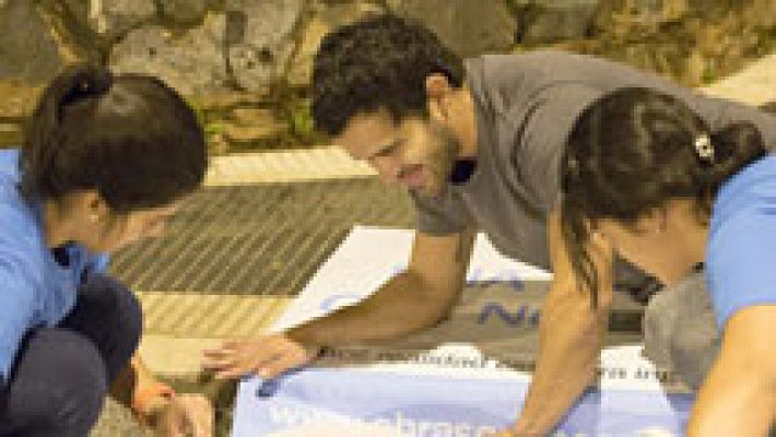 Telediario 1 - Los discapacitados reivindican su inserción en el trabajo