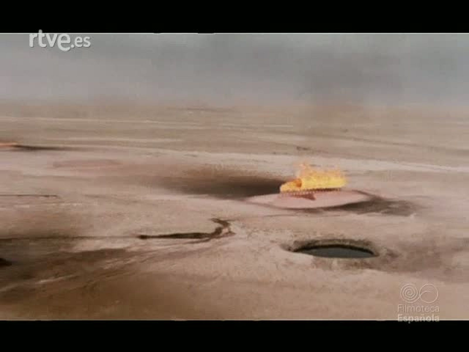 VITA NEL KUWAIT - Documentales Color | Ver