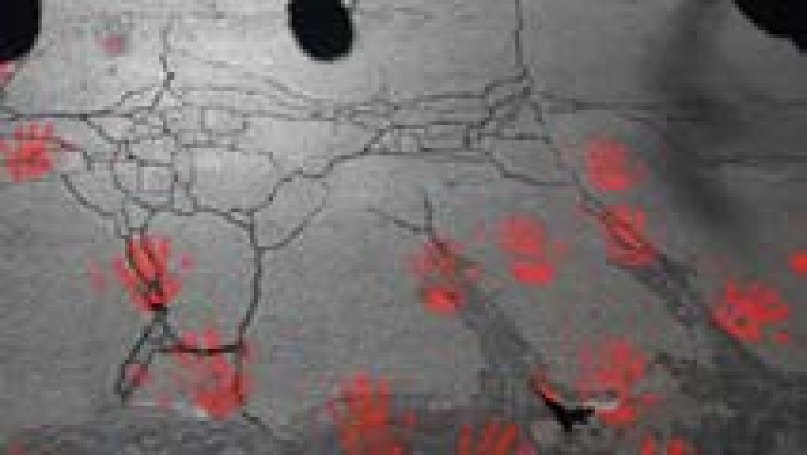 Siete mujeres mexicanas mueren cada día por violencia de género | Ver