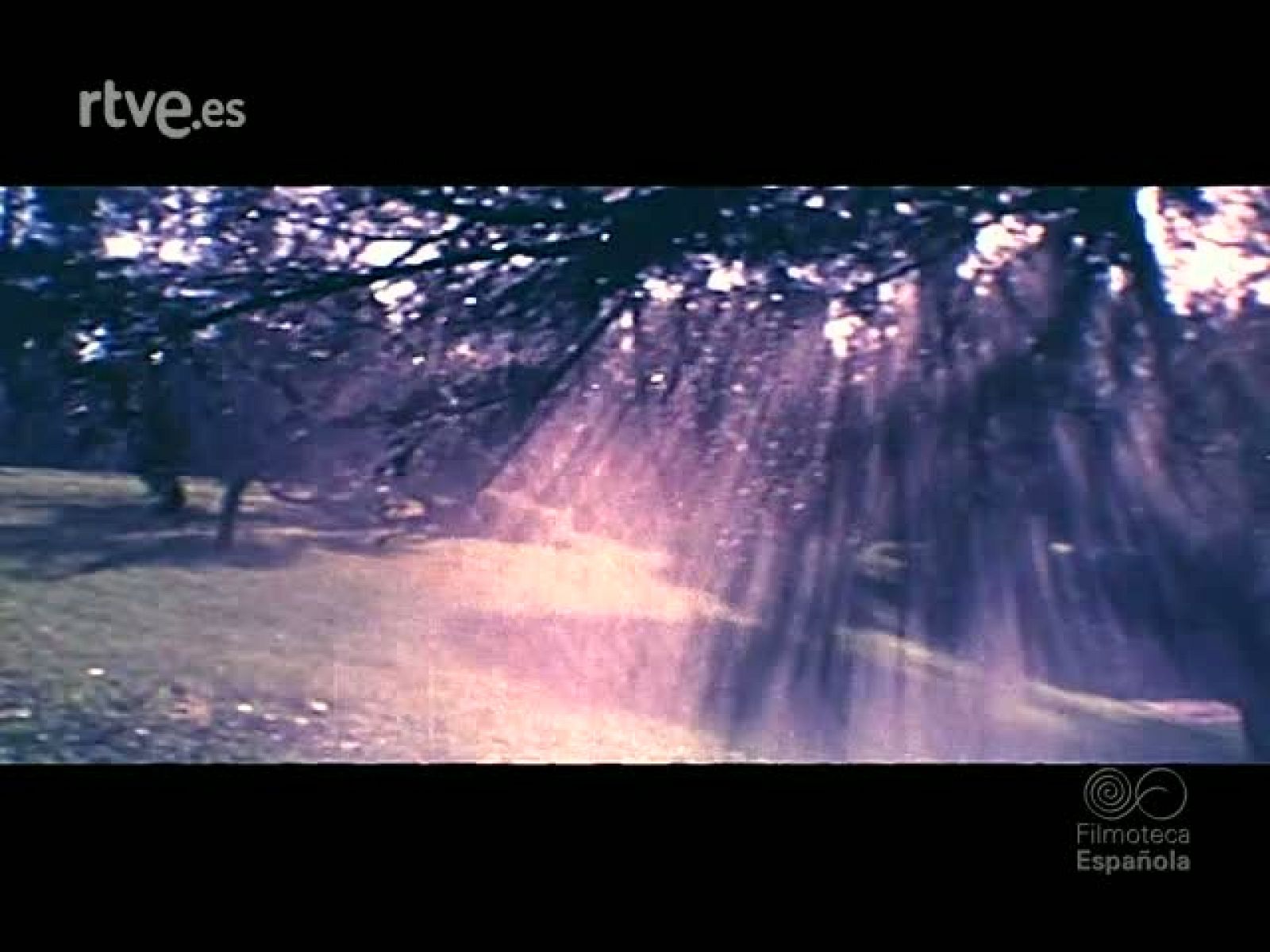 EL BOSQUE Y EL AGUA - Documentales Color | Ver