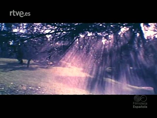 Documentales Color - EL BOSQUE Y EL AGUA