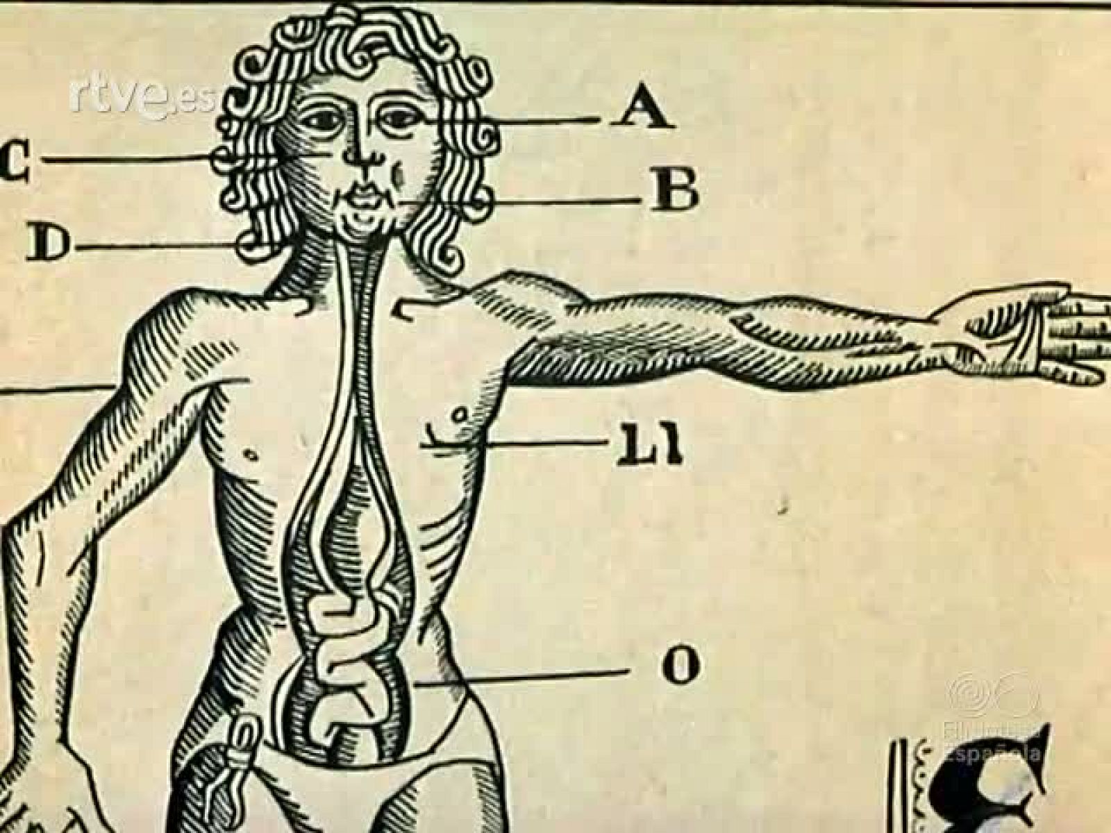 EL CORAZON DE UNA CIUDAD - Documentales Color | Ver