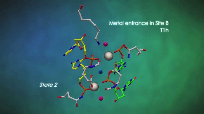 Ciencia y tecnología en Rtve.es - Proceso de rotura de la doble hélice de ADN