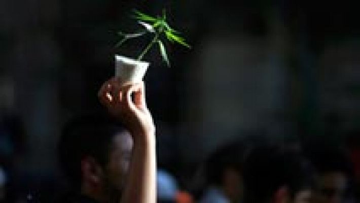 Telediario 1 - San Sebastián estrena la normativa de los clubes de cannabis