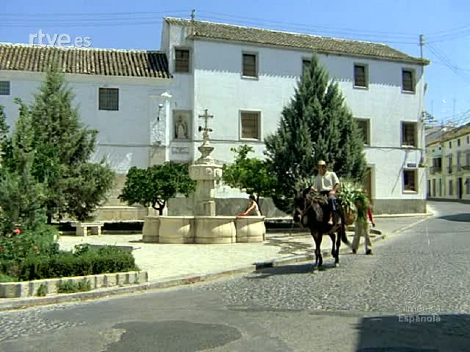 Filmoteca -  en RTVE Play