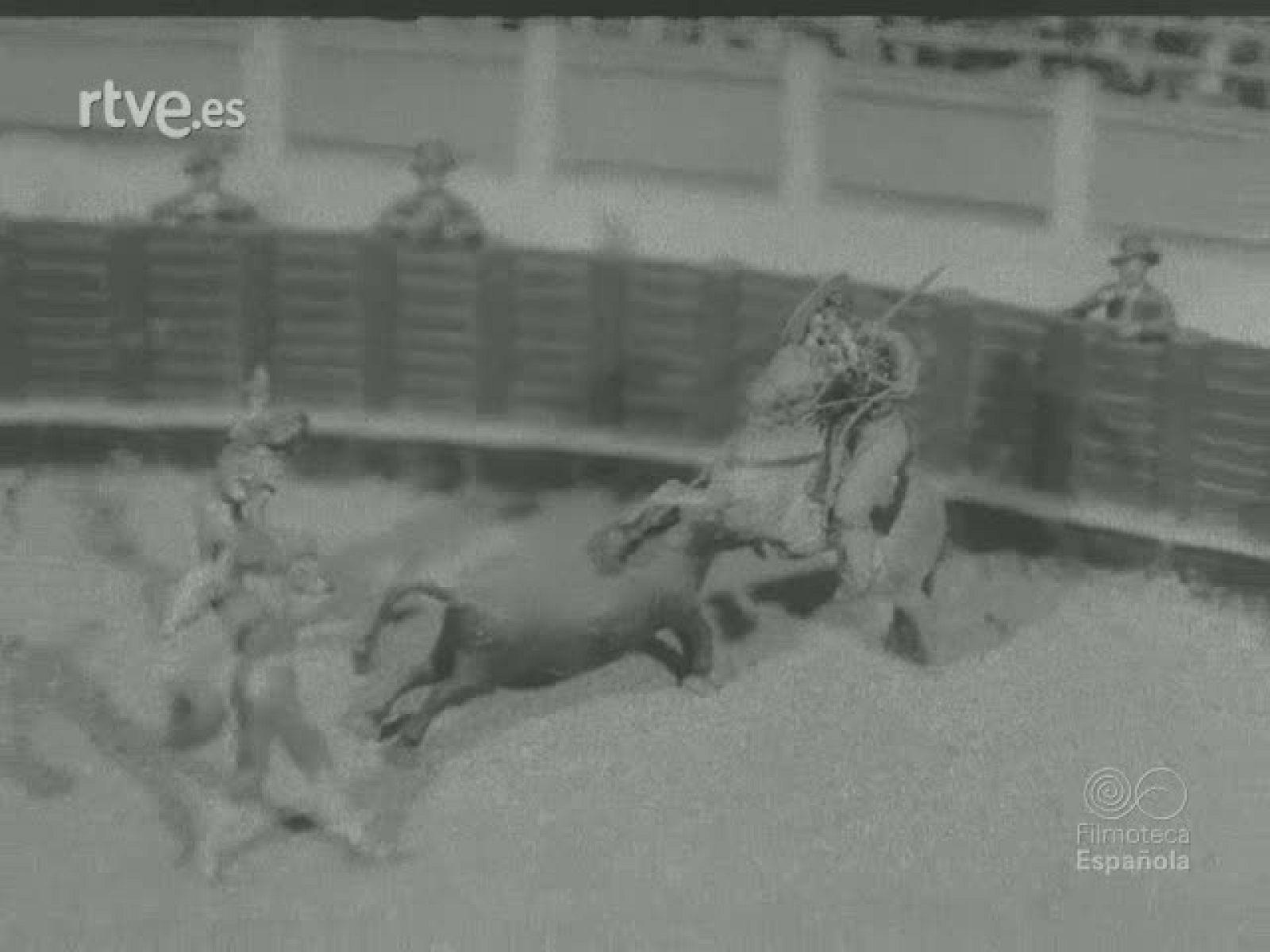 LA CORRIDA DE LA BENEFICENCIA - Documentales Color | Ver