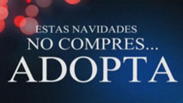 Telediario 1 - Más de 250.000 animales se abandonan al año en España