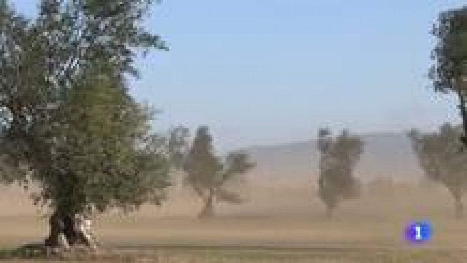 L'informatiu en 3' - 09/12/2014