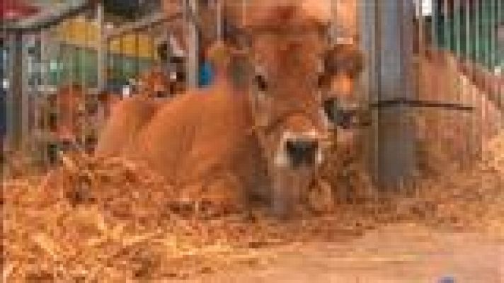 Panorama Regional - Panorama Regional - 09/12/14