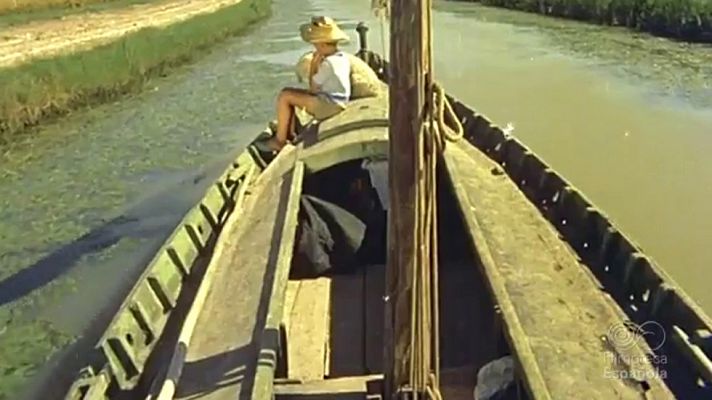 ENTRE EL AGUA Y EL BARRO ESTAMPAS DE LA ALBUFERA