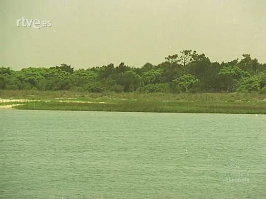 Documentales Color - ESPAÑA EN FLORIDA