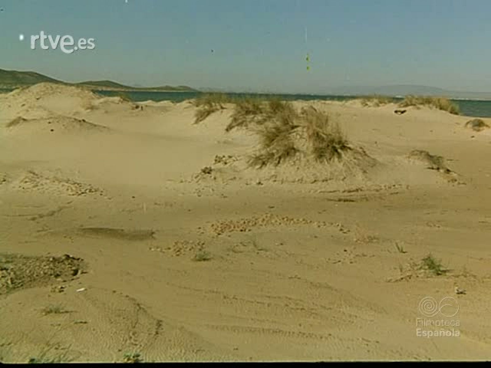 ENTRE DOS MARES - Documentales Color | Ver