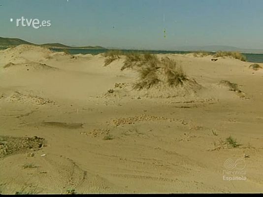 Documentales Color - ENTRE DOS MARES