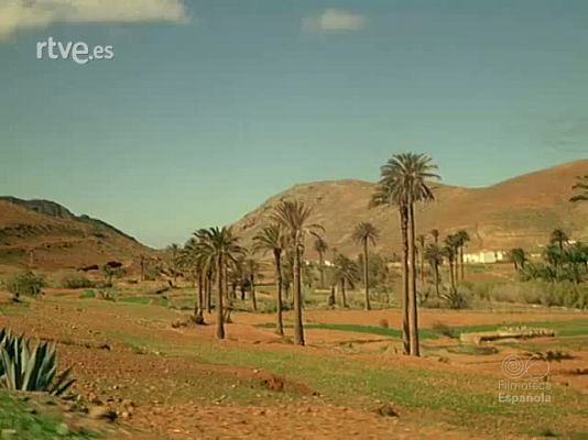 Documentales Color - EN EL MAR DE FUERTEVENTURA